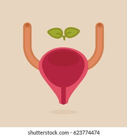 Bladder vector illustration