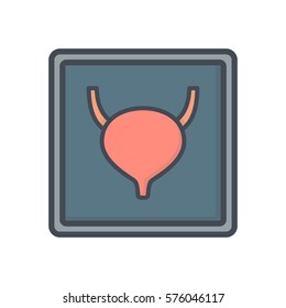 bladder x-ray organs icon
