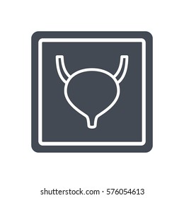 bladder x-ray silhouette icon