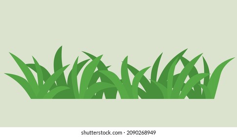 blades of fresh green grass  - vector illustration