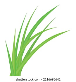 blades of green grass- vector illustration