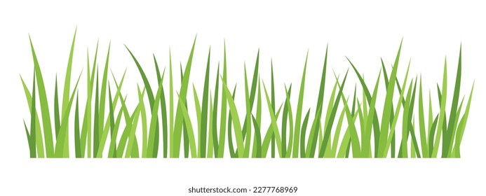 blades of green grass  - vector illustration