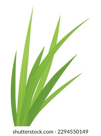 blades of green grass  - vector illustration