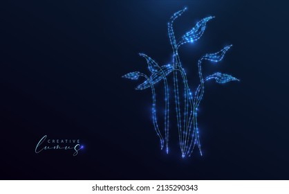 Blades of starry grass. Stylized plant on blue background. Neon starlight in the universe.  Nature symbol, holographic style.