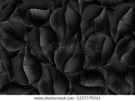 Blak leaves in the forest