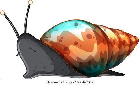 Dibujo de fondo blanco con caracol negro