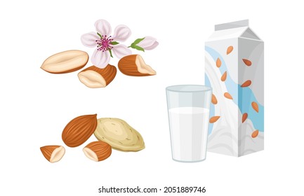 Blanched and Unshelled Almond Nut as Edible Seed and Carton of Milk Vector Set