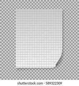 Blank A4 paper with math squares on transparent vector background.