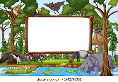 Blank banner in the rainforest scene with wild animals illustration