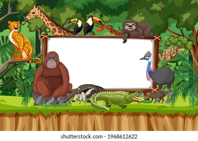 Blank banner in the rainforest scene with wild animals illustration