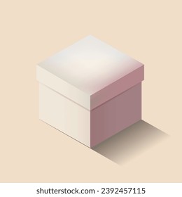 blank box or gift box vector