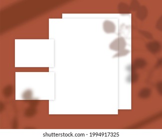 Blank card mockup of paper template  ,leaves shadow on background. 