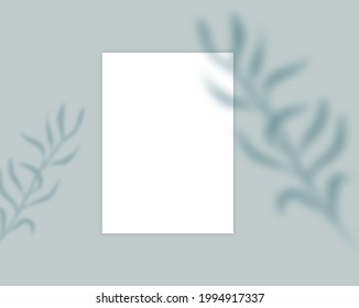 Blank card mockup of paper template  ,leaves shadow on background. 