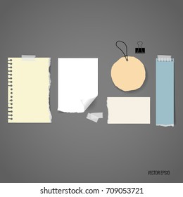 Blank catalog, magazines,book mock up and white note papers. Vector illustration.