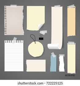 Blank catalog, magazines,book mock up and white note papers. Vector illustration.