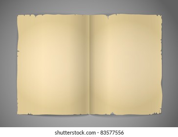 Blank cracked book pages vector template for a content