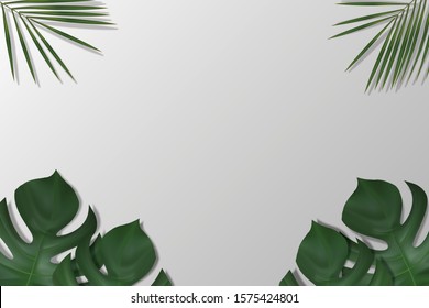 Blank empty white space template on white background top view. decor by monstera, palm leaves. for product, sale, banner, presentation, cosmetic, offer. copy space. Realistic illustration Vector.