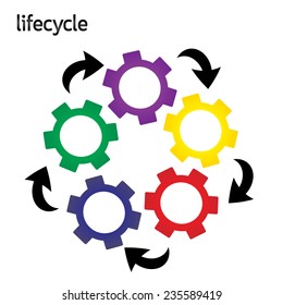 blank gear lifecycle : 5 step : colorful business concept