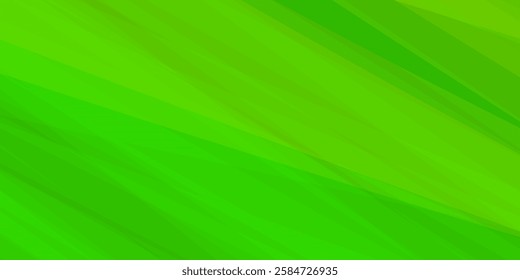 Blank green abstract background green background