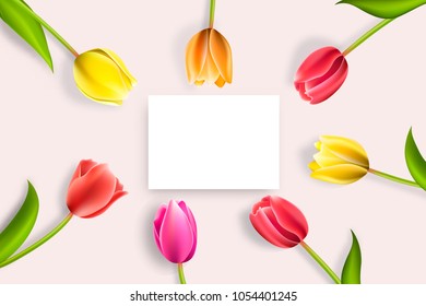 Blank of greeting card with Blooming Tulip Flowers. Vector illustration EPS10