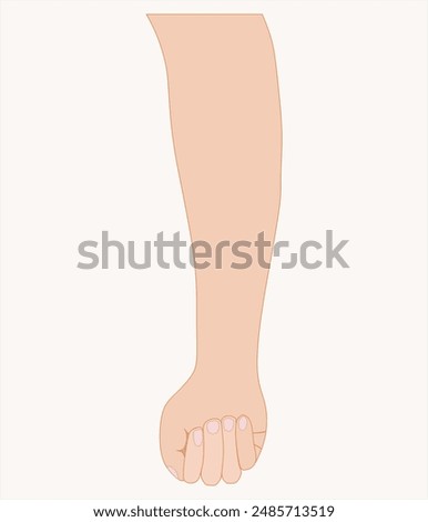 Blank hand forearm illustration template can be used to practice henna mehndi painting