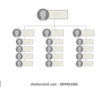 Blank hierarchy company structure. vector illustration