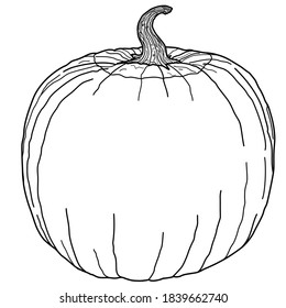 Blank Jack o Lantern Pumpkin Template, line art