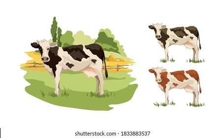 Blank for label with cow in different colors. Vector illustration, fields and meadows with cows.	