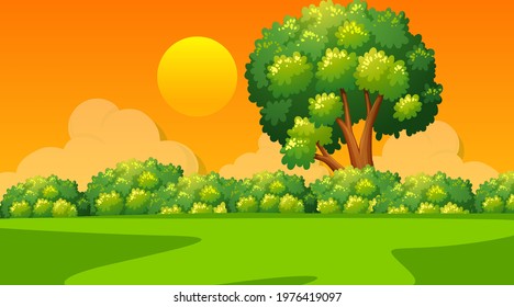 Blank landscape scene of nature park at sunset time illustration
