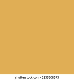Blank Light Brown Background Vector no lines and characters