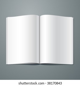 Blank Magazine Spread. Editable. No Mesh. Vector EPS10.