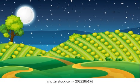 Blank nature park landscape at night scene illustration