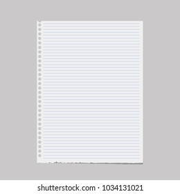 Blank of note paper, notebook sheet with holes. Vector