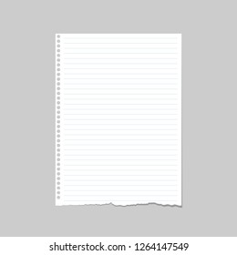 Blank of note paper, notebook sheet with holes