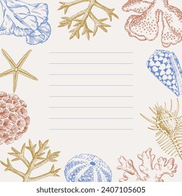 Blank notebook sheets with seashells and corals drawings. Border design template, summertime illustration banner