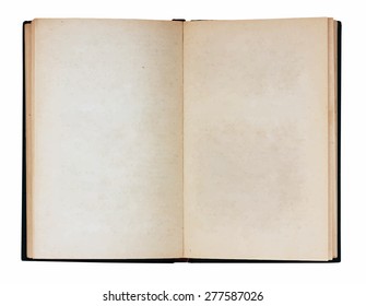 blank open book, vector