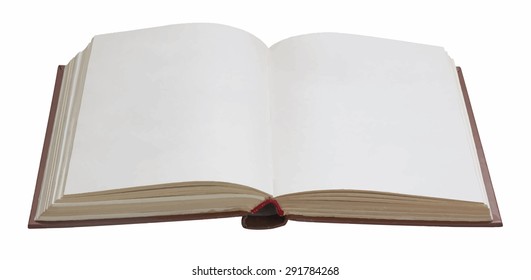 blank open book, vector