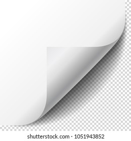 Blank page with curled corner and soft shadow. Corner of sheet of paper. Realistic vector illustration isolated on transparent background, eps 10