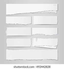 Blank Paper with Bends and Tears