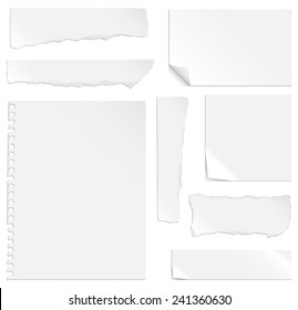 Blank Paper with Bends and Tears - Each element is grouped separately for easy editing.  