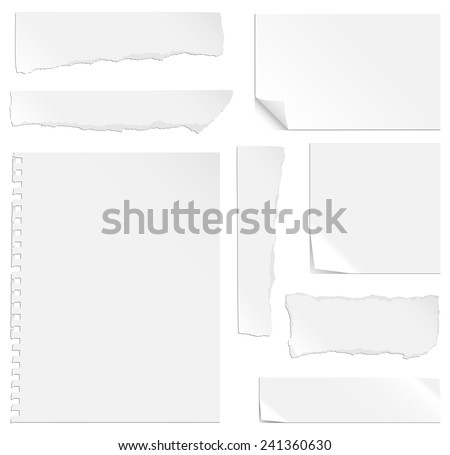 Blank Paper with Bends and Tears - Each element is grouped separately for easy editing.  