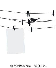 Blank paper sheet on clothesline with clothespins and bird. Vector illustration.