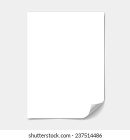 Blank Paper Sheet With  Page Curl