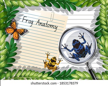 Blank paper top view with leaves and butterfly and frog elements illustration