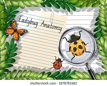 Blank paper top view with leaves and butterfly and ladybug elements illustration