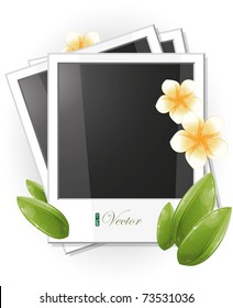 Blank photo frame illustration with white frangipani flowers, eps-10