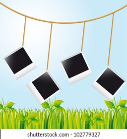 blank photos over landscape with grass and sky. vector illustration