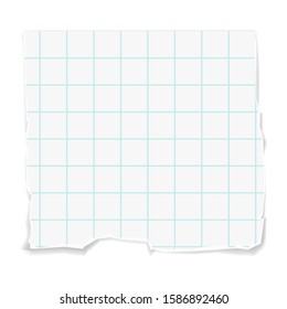 Blank piece of paper from a notebook. Vector illustration isolated on white background