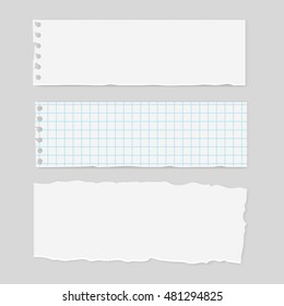 Blank realistic torn paper pieces