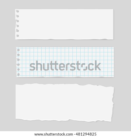 Blank realistic torn paper pieces